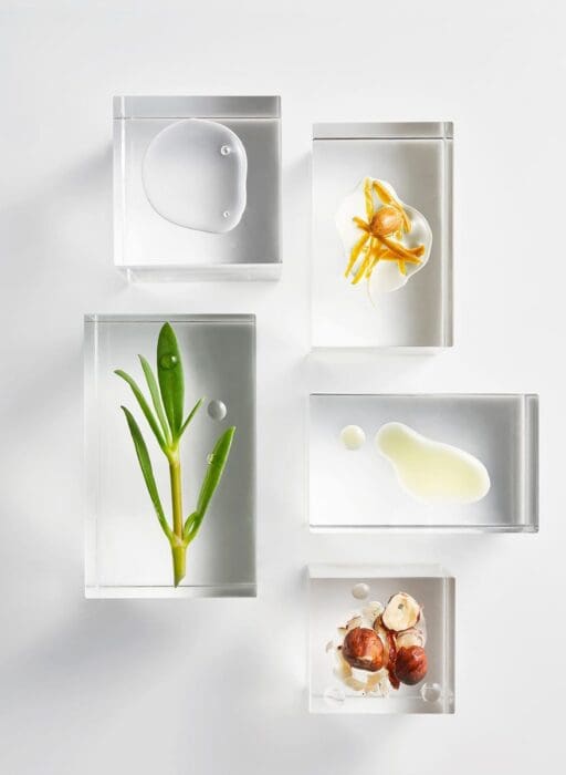 The Absolute Ingredients nobel panacea