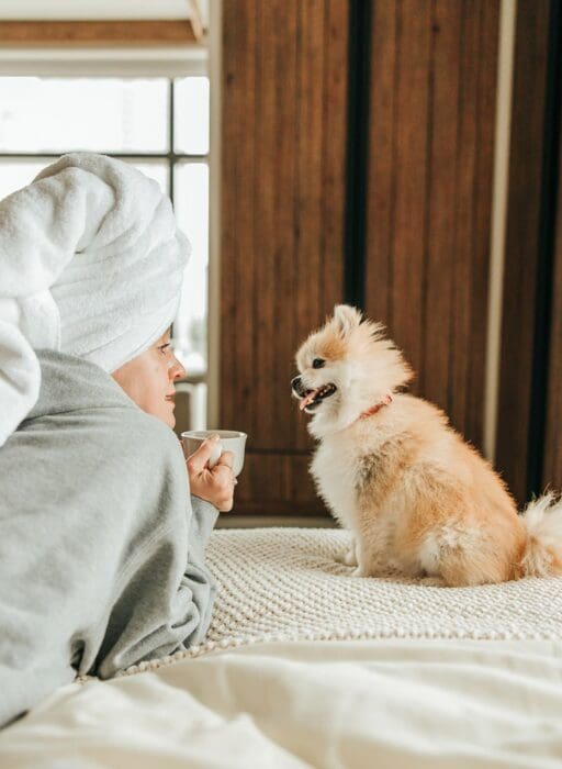 1 hotel mayfair dog friendly