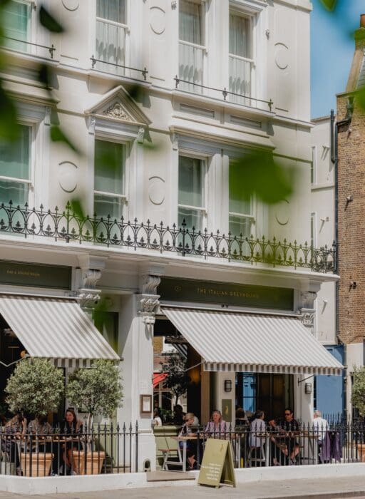 italian greyhound marylebone