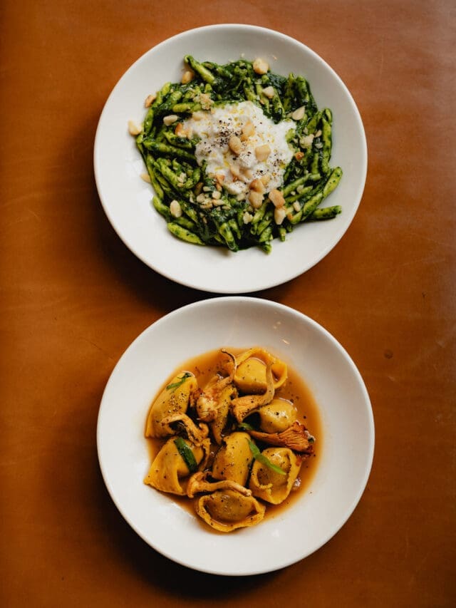 italian greyhound marylebone