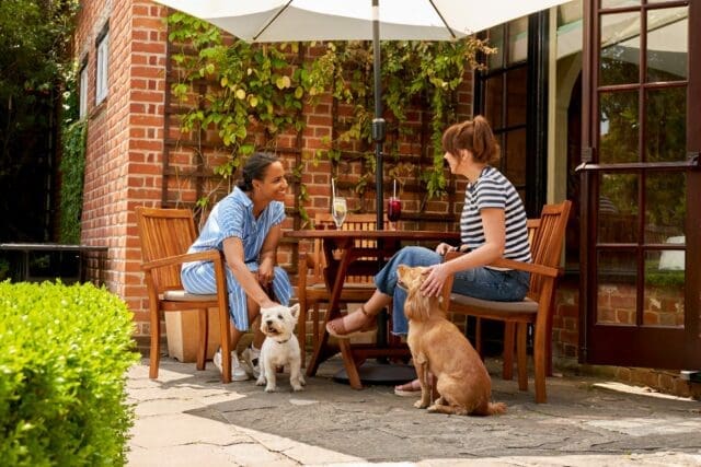 the montagu arms dog friendly