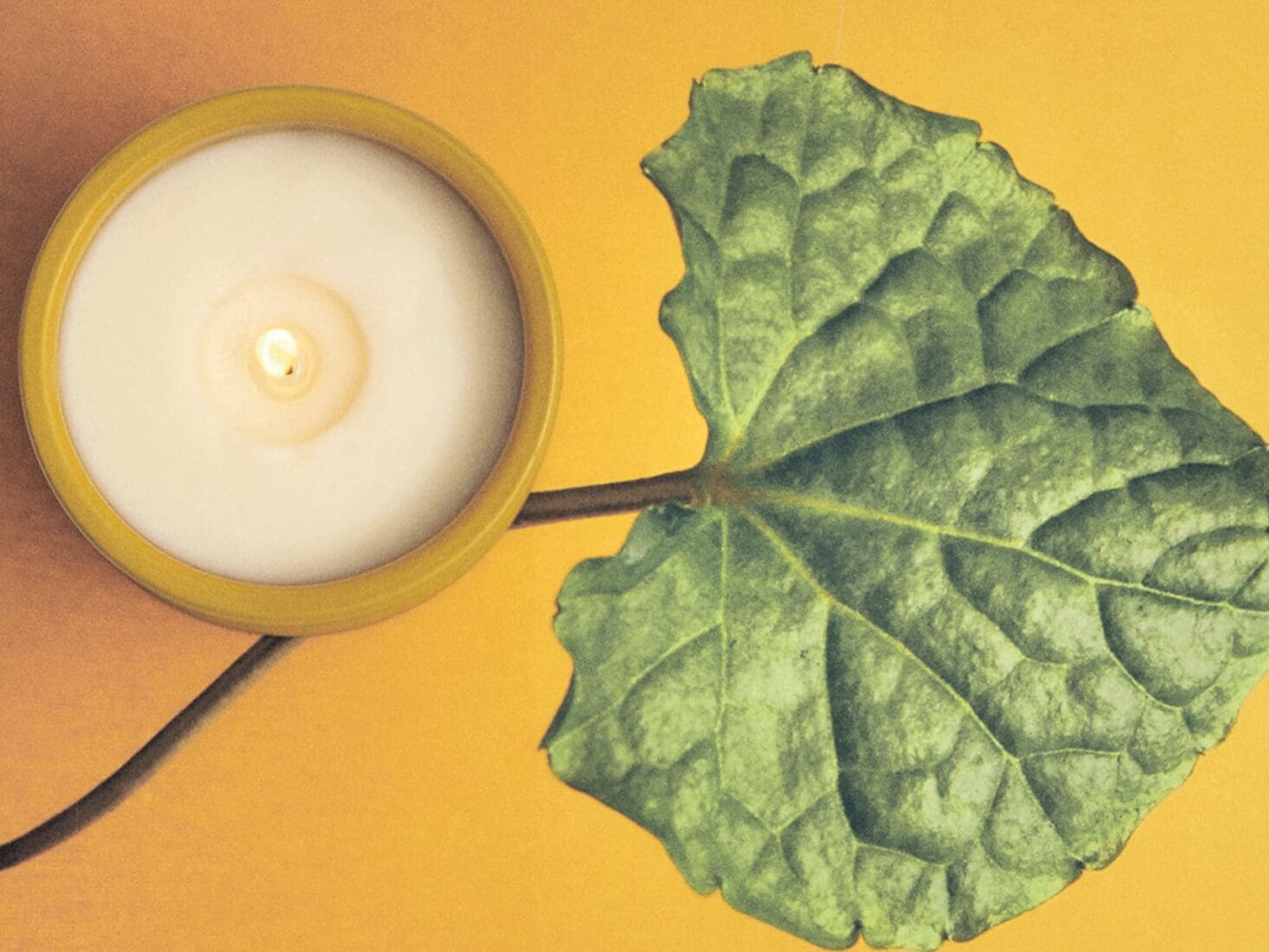 scanted candles