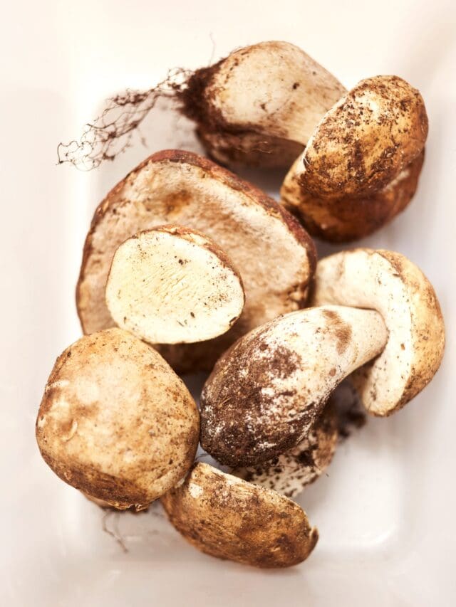 45 jermyn street truffle
