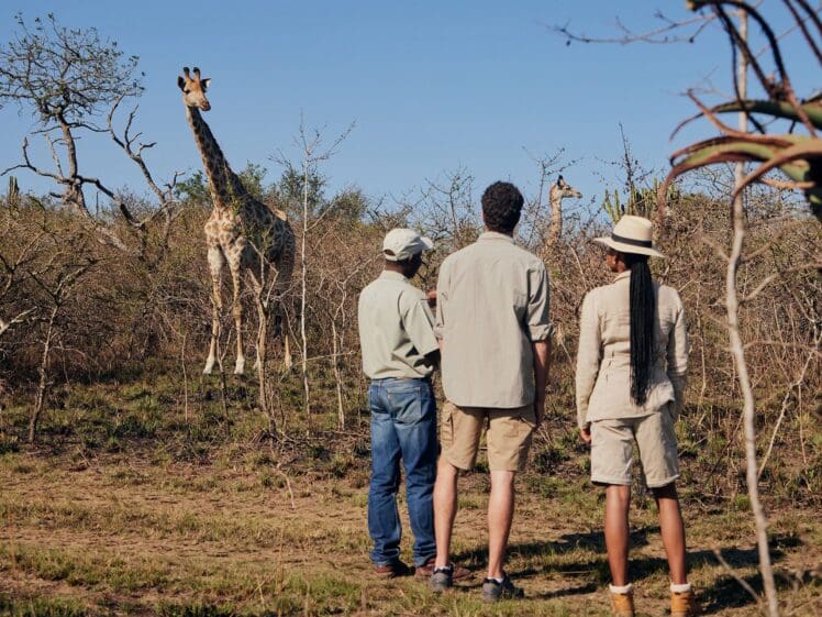 tala game reserve
