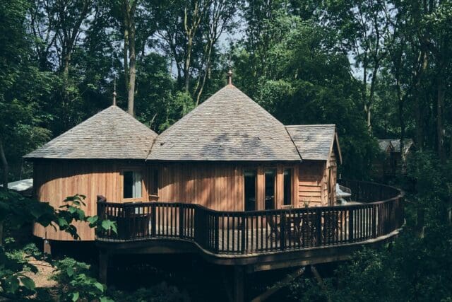 wildhive callow hall treehouse stays