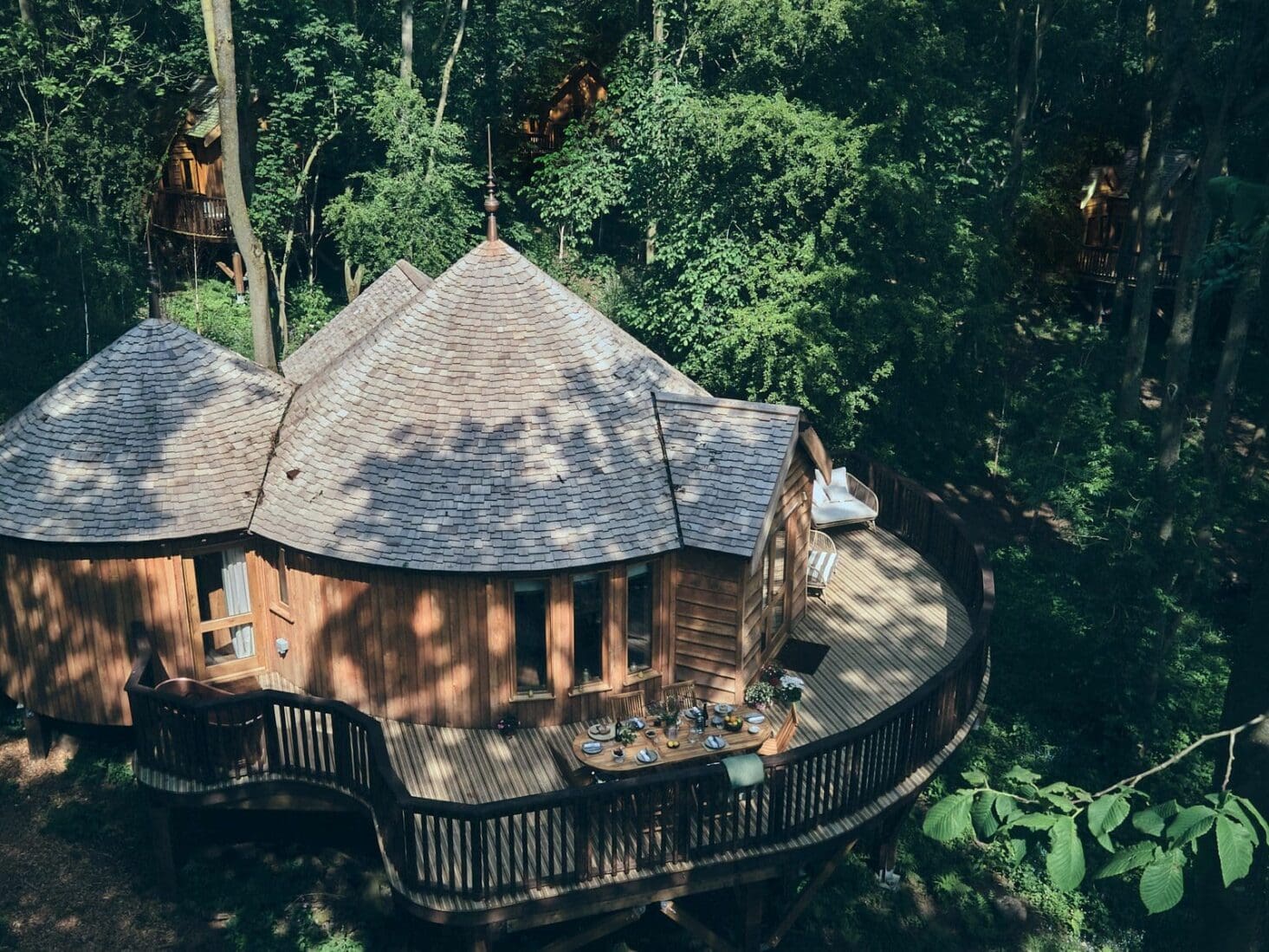 wildhive callow hall treehouse stays