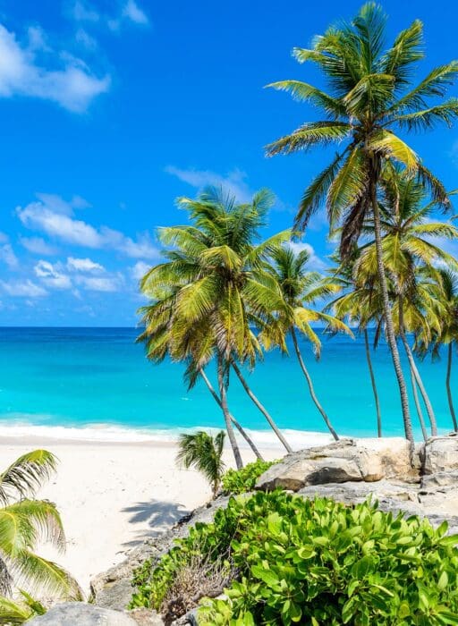 bottom bay barbados caribbean