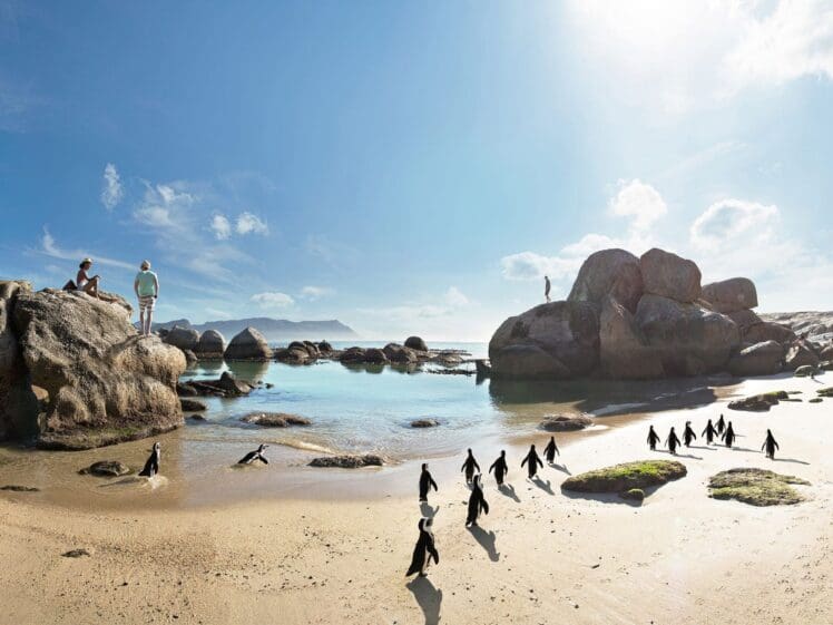 Cape Town Beach