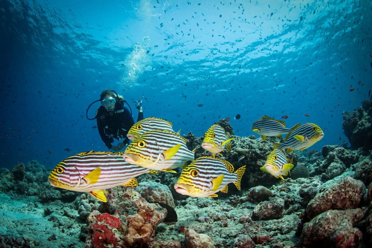 Conrad Maldives Rangali Island