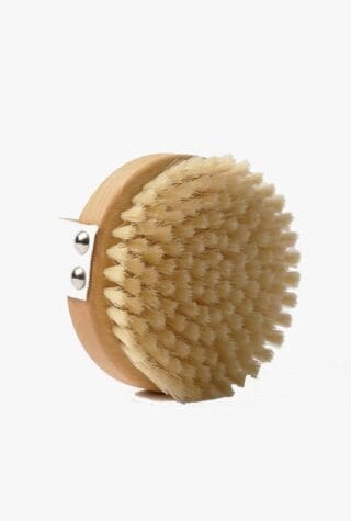 djusie dry brush