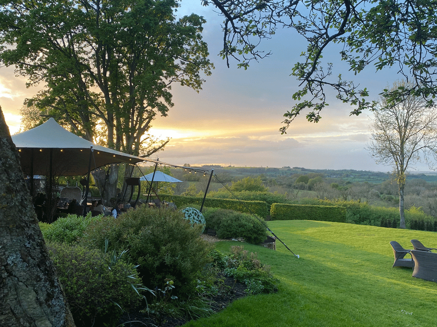 feathered nest hotel