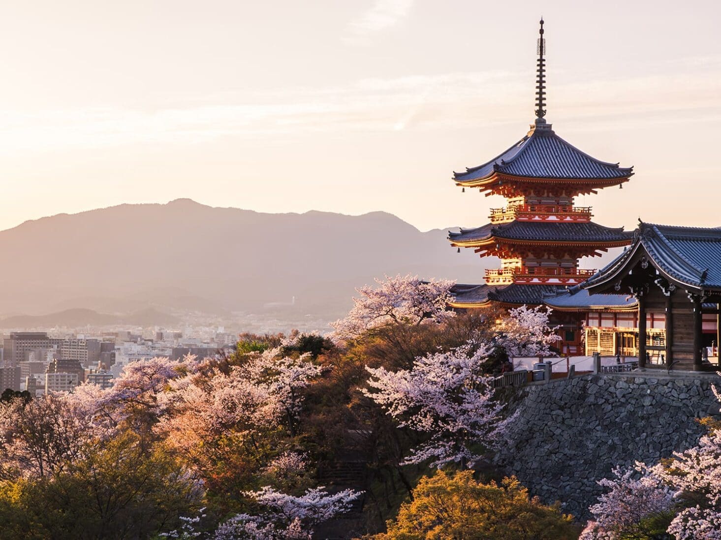 japan city guide