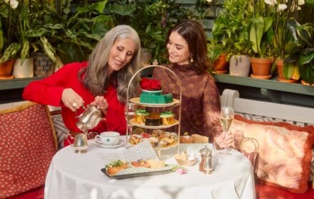 the ivy mother's day 2025