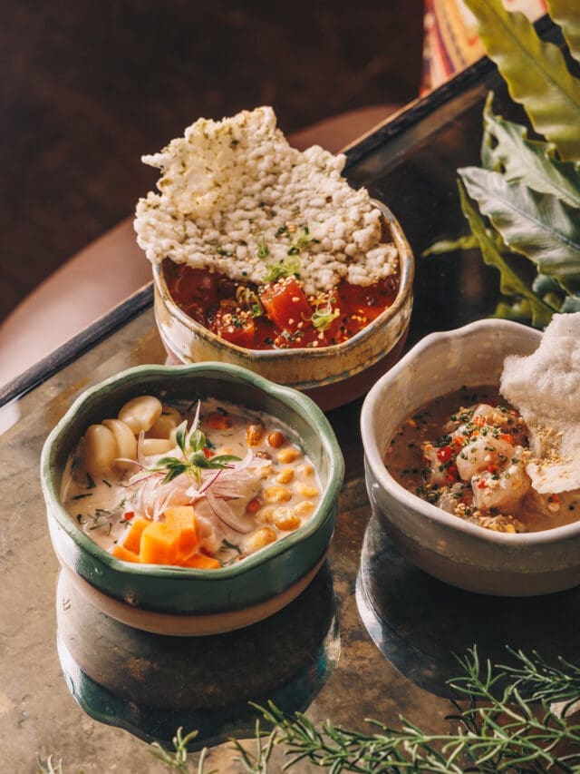 coya restaurant