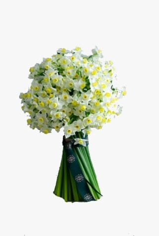 Lavender Green Noteworthy Narcissi bouquet