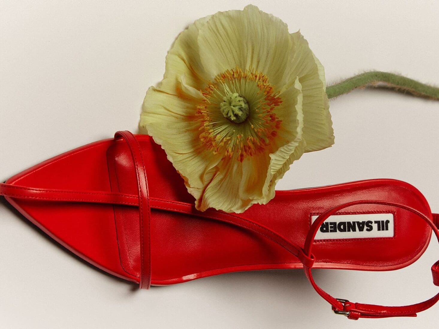 Harvey Nichols event dressing