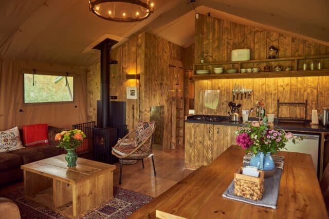 tall trees glamping glastonbury