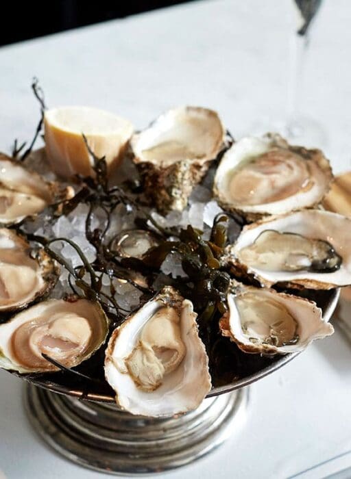 bentley's oysters