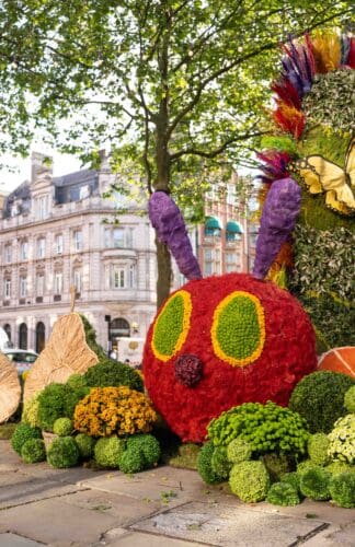 chelsea in bloom