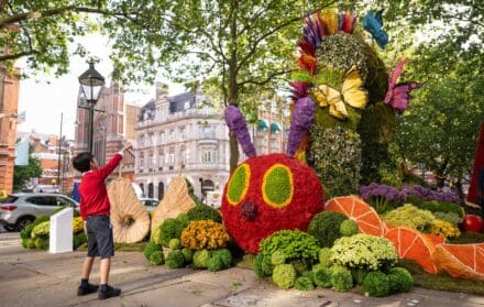 chelsea in bloom