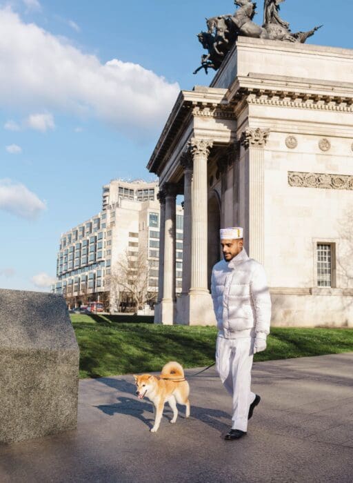 the peninsula mayfair dogs