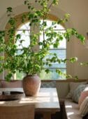 sims hilditch warwickshire farm cottage