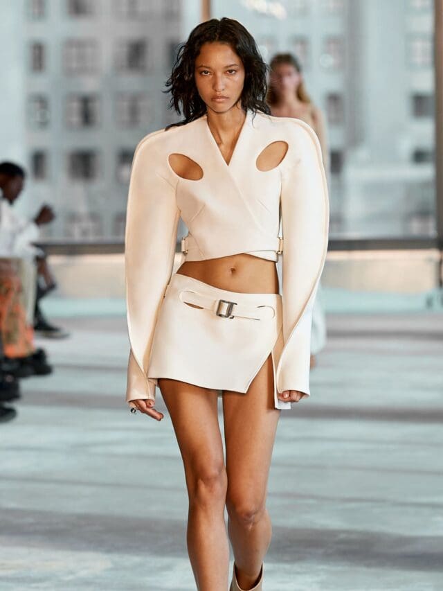 dion lee