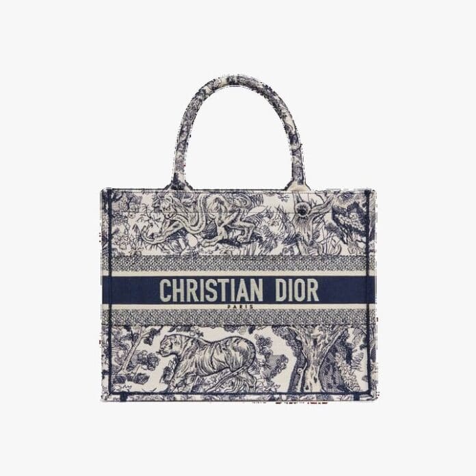 Dior Book Tote