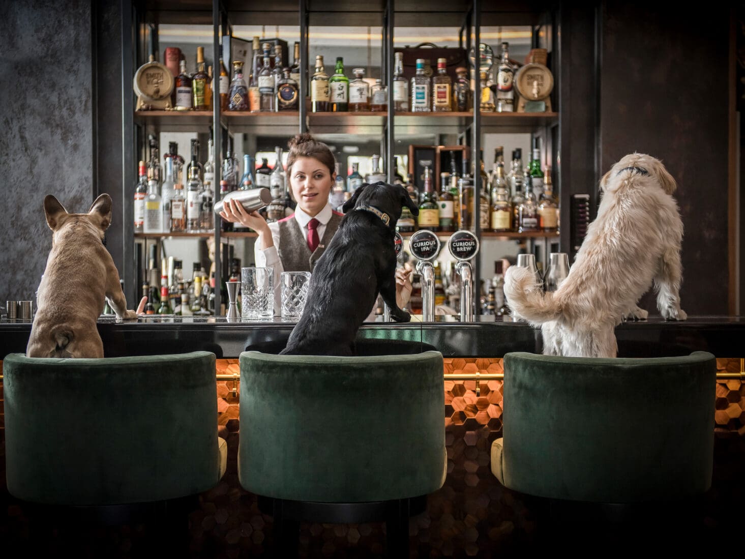 sheraton grand park lane