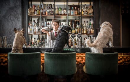 sheraton grand park lane