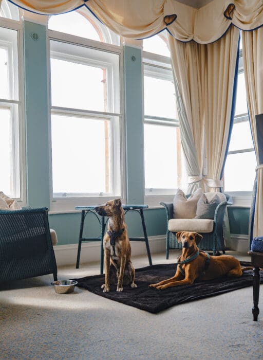 The Headland, Cornwall