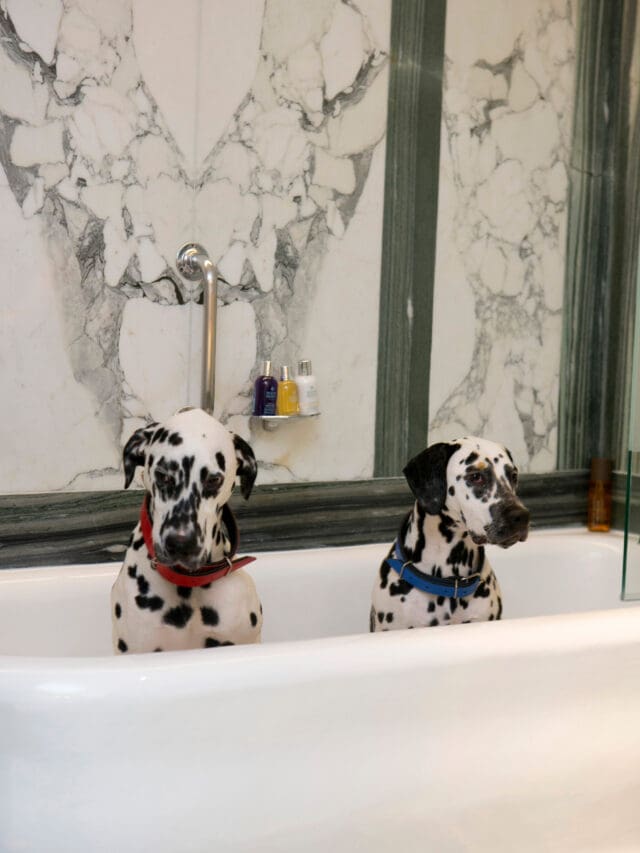 Sheraton Grand London Park Lane, Mayfair