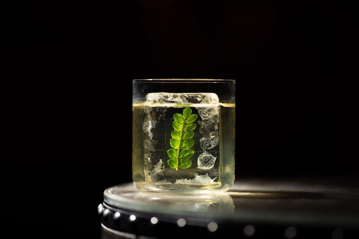 the connaught chimera cocktail