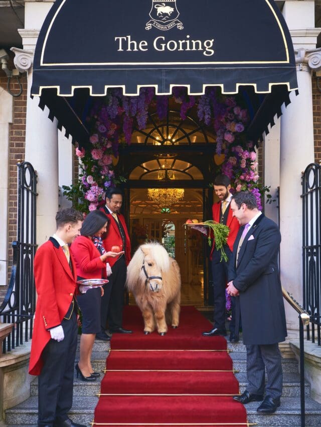 the goring