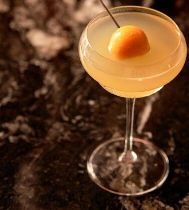 mirasol margarita bebe bob