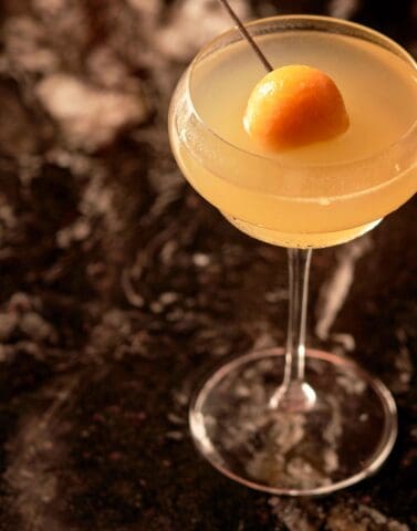 mirasol margarita bebe bob