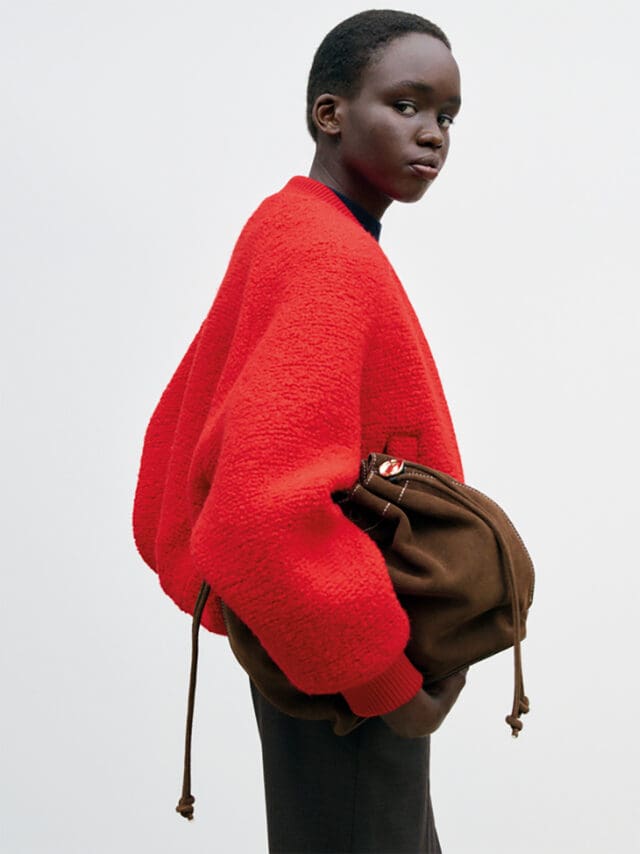 Claudie Pierlot Alban bag