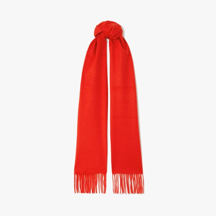Viktor fringed cashmere scarf