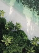 where to travel in october barbados