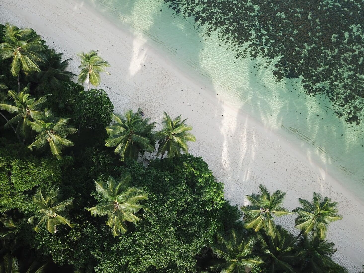 where to travel in october barbados