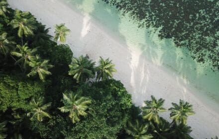 where to travel in october barbados