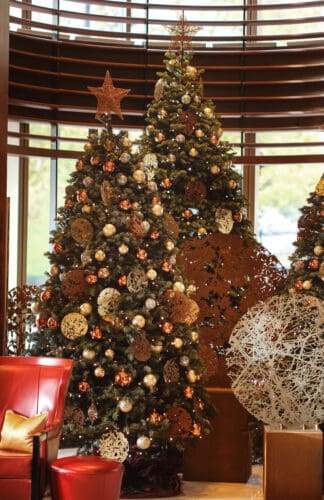 45 Park Lane artist's tree