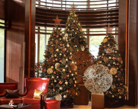 45 Park Lane artist's tree