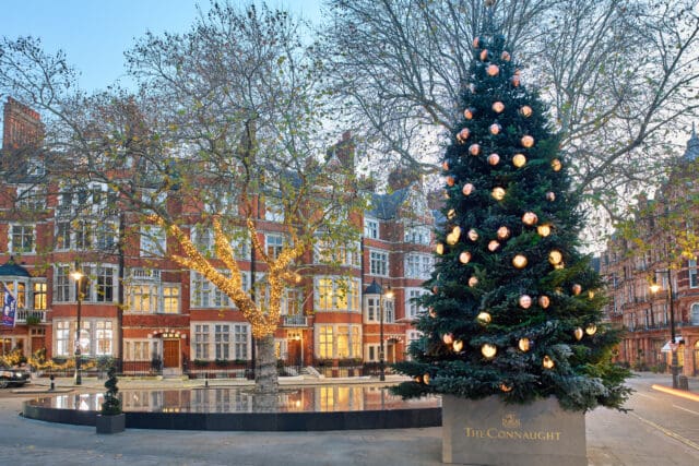 the connaught christmas tree