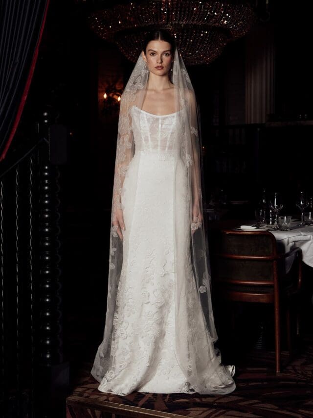 Kate Halfpenny Spencer Corset, Spencer Skirt and Winter Veil