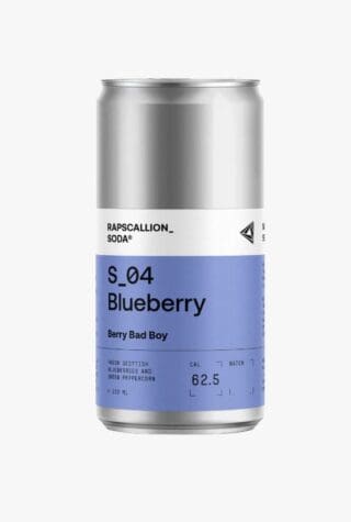 Rapscallion Soda winter mix case