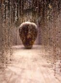 Flowers – Flora In Contemporary Art & Culture at Saatchi Gallery