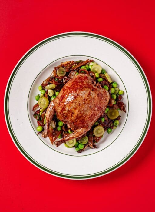 Hello JoJo, Camberwell 