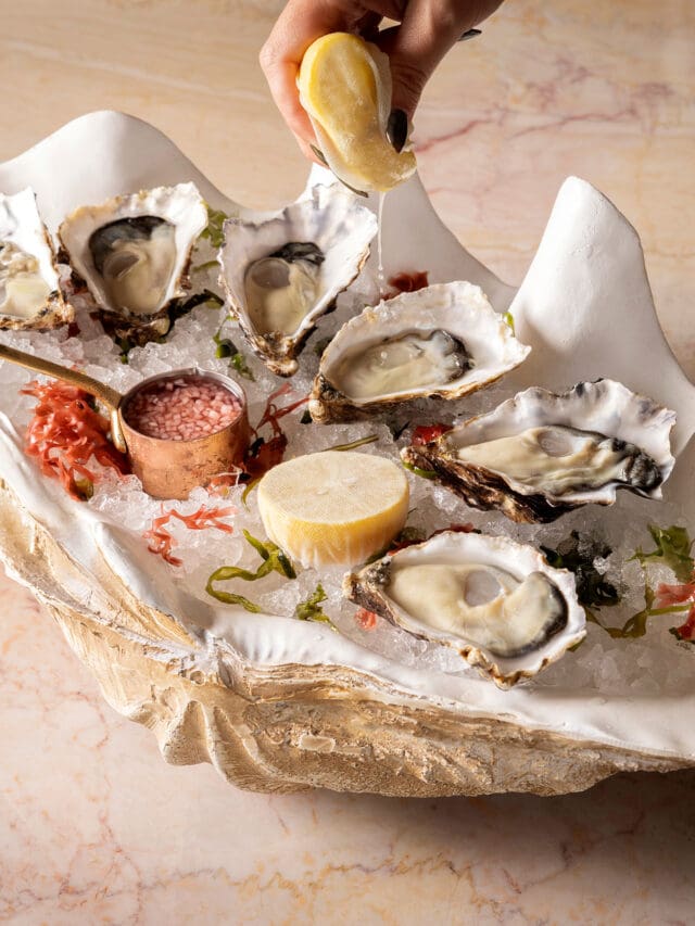 oysters at rosi at the beaumont