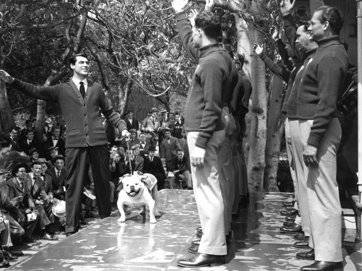 best-cardigans for men-cary-gant